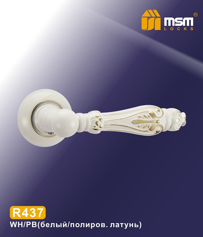 Ручки раздельные MSM R437 WH/PB (Белый / Полированная латунь) на круглом основании